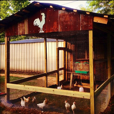 Country Living Readers Chicken Coops - Best Chicken Coop Photos