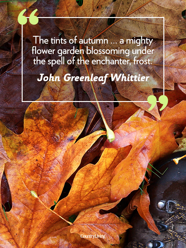 18 Fall Quotes - Sayings About Autumn