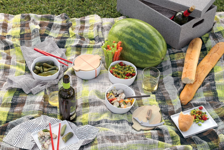 Picnic Accessories and Picnic Ideas Smart Picnic Supplies