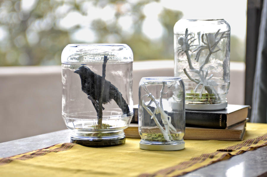 Bring empty pickle, jelly, and other glass jars back from the dead by turning them into haunting terrariums. Step 1: First, wash each container and dry thoroughly. Choose a sturdy twig that's slightly shorter than the jar and hot-glue it to the inside of the lid, so that the twig sticks straight up. Step 2: Hot-glue plastic bugs to the wood—making sure the decorations are small enough to fit inside the glass when you seal the terrarium. Step 3: Spray-paint everything but the jar—twig, bugs, lid—white or black. Step 4: Once the piece has dried, hot-glue green floral moss around the base of the twig. Carefully place the jar upside down over the lid and screw it on. To make the crow version shown, follow the instructions above, but hot-glue a fake bird to the twig after you spray-paint.