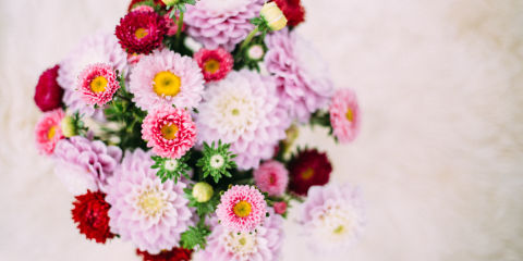 How Simple Arrange Flowers Guide Floral Arranging 101 | Sweetwater